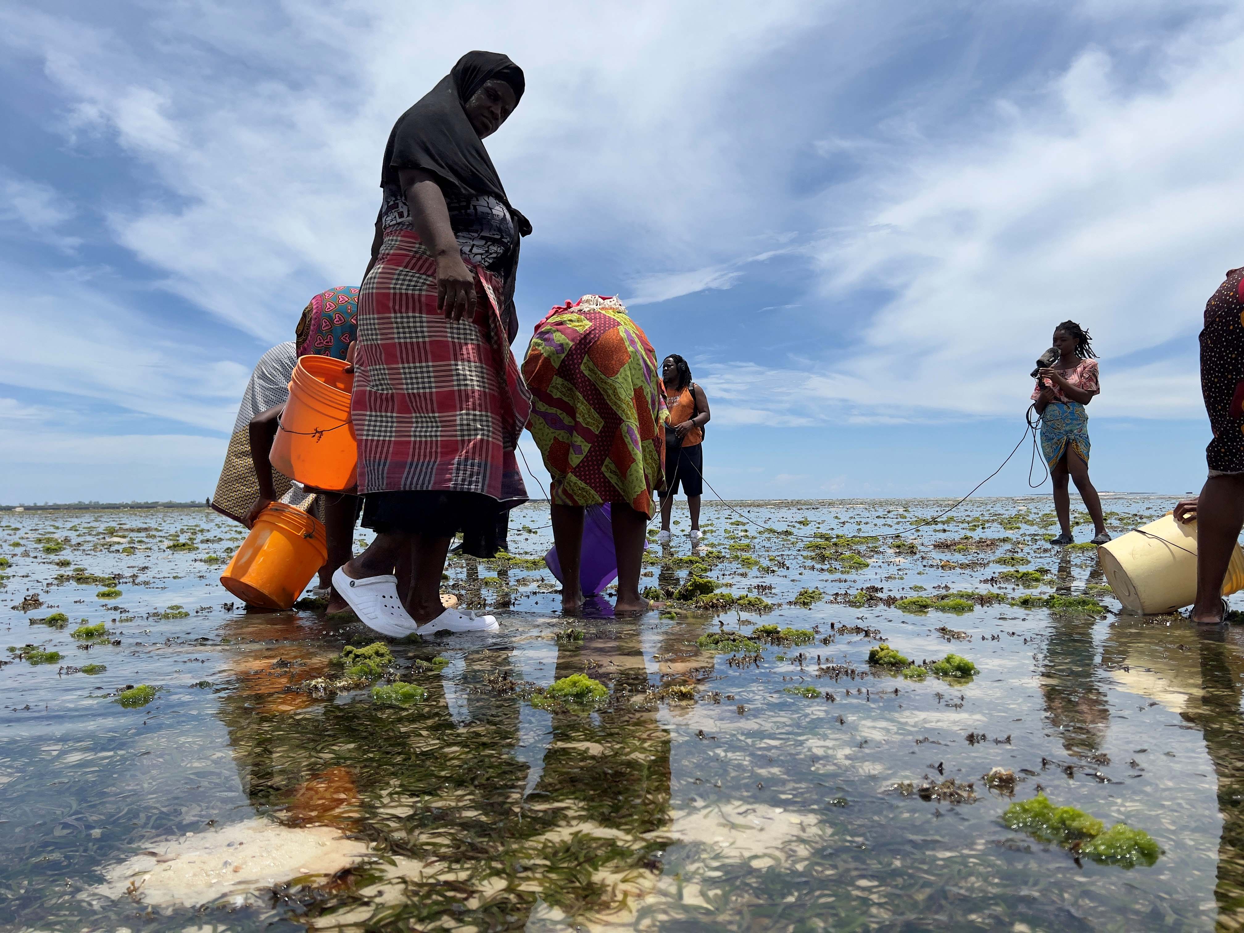 How the lack of seafood affects communities on Mozambique Island