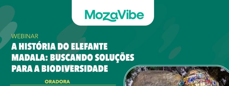 Webinar: A história do elefante Madala – buscando soluções para a biodiversidade