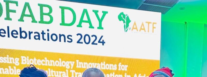 Zélia Menete: African Champion of Agricultural Biotechnology 2024