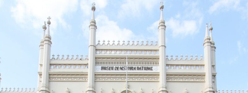 Museu de História Natural: Tesouro de biodiversidade e cultura