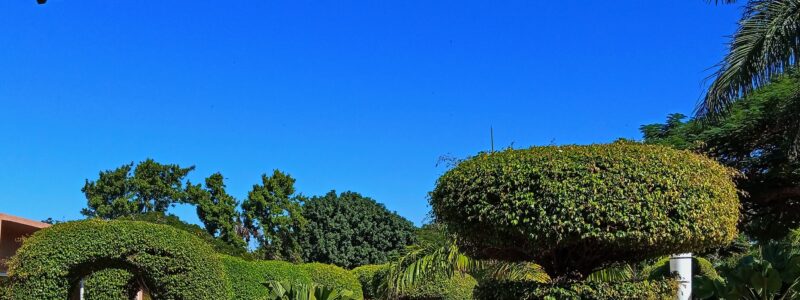 Jardim dos Namorados: Um refúgio romântico no coração de Maputo
