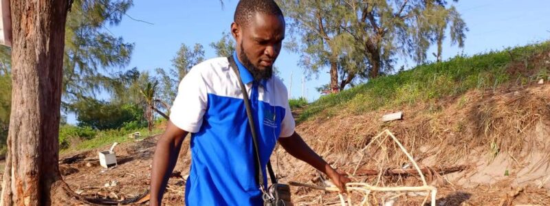 Faduco: trash can gain new value