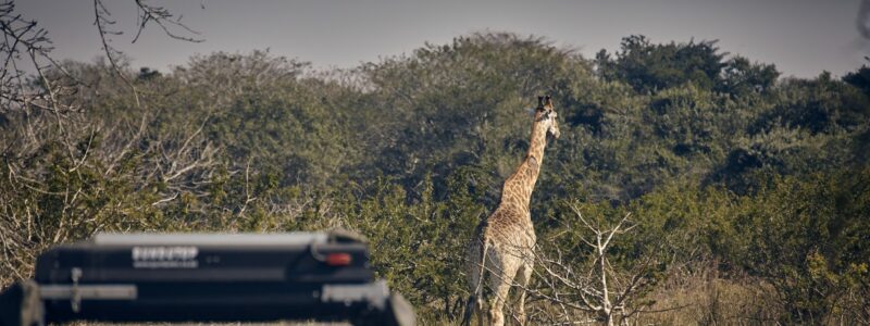 Maputo National Park: UNESCO's new heritage site