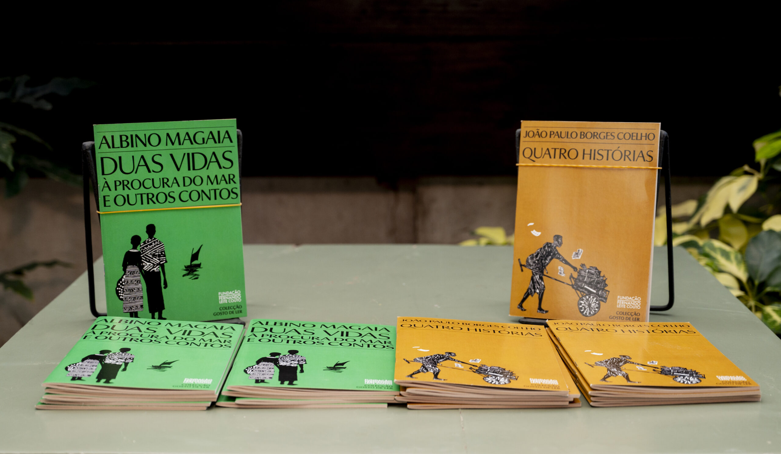 "Gosto de Ler": books as a right and not a privilege