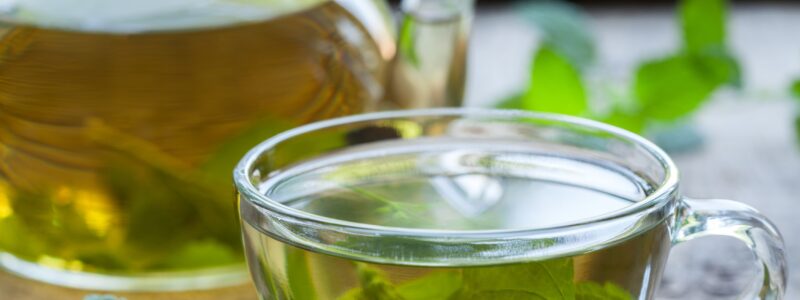 Lemon balm between traditional knowledge and scientific research