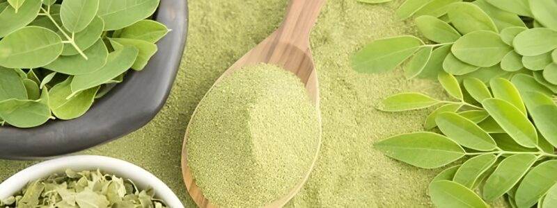 Moringa oleifera: therapeutic potential