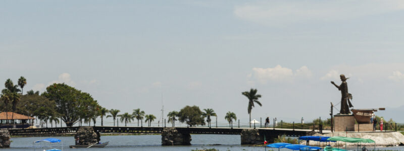 A pause for the future of marine species