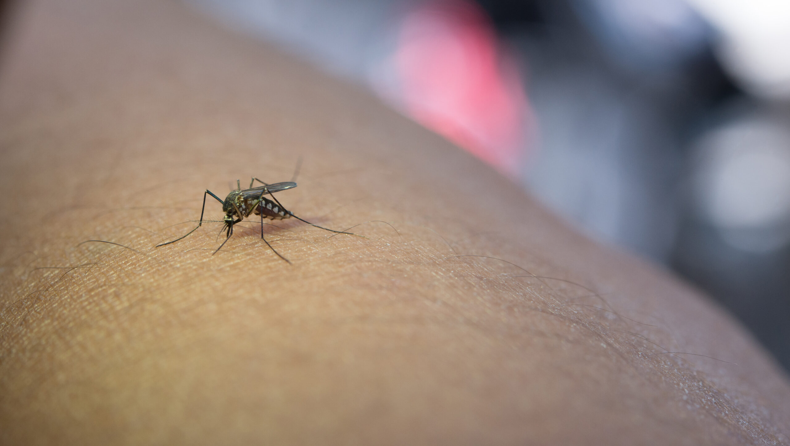 Study reveals lack of knowledge about malaria.