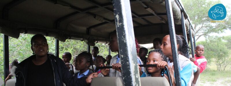 A safari in Maputo National Park