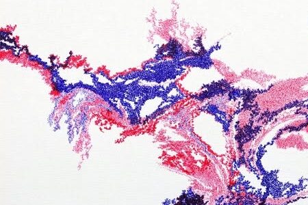 Ciro Pereira mostra a "Casa de Prata"