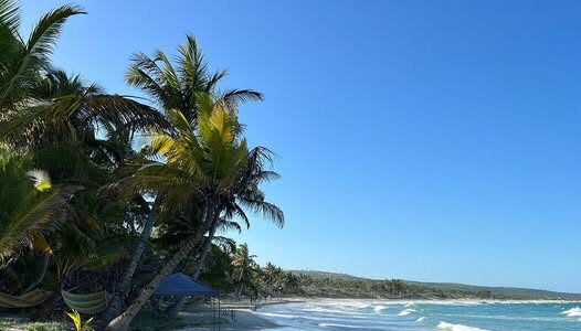 Morrungulo: resting in paradise