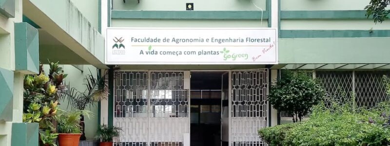 Forestry sciences reinforce environmental preservation