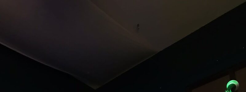 The Rosee apresenta "Bittersweet" 