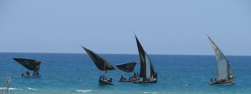 Portuguese-speaking countries "embrace" marine protection