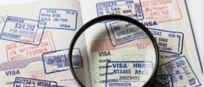Young people with job mobility opportunities to Portugal