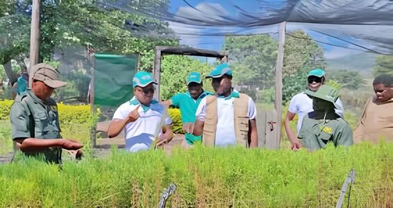 Moçambique e Brasil reforçam cooperação agro-florestal